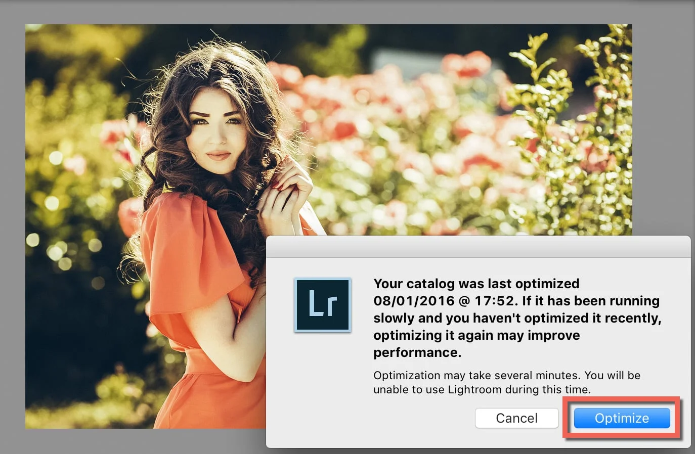 10 Useful Tips to Speed Up Lightroom