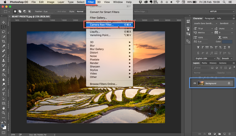 install camera raw presets in photoshop