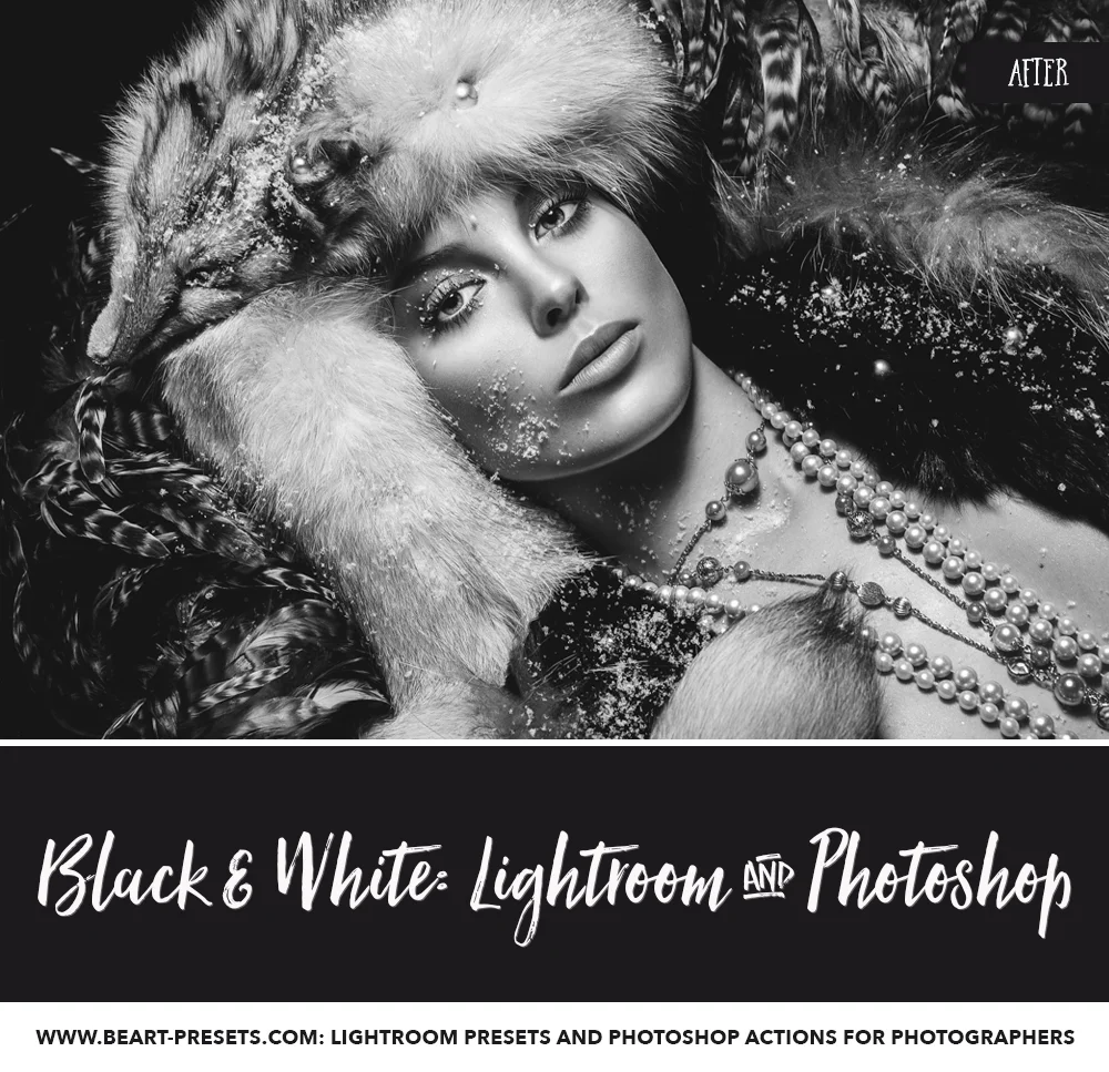 lightroom 6 black and white presets