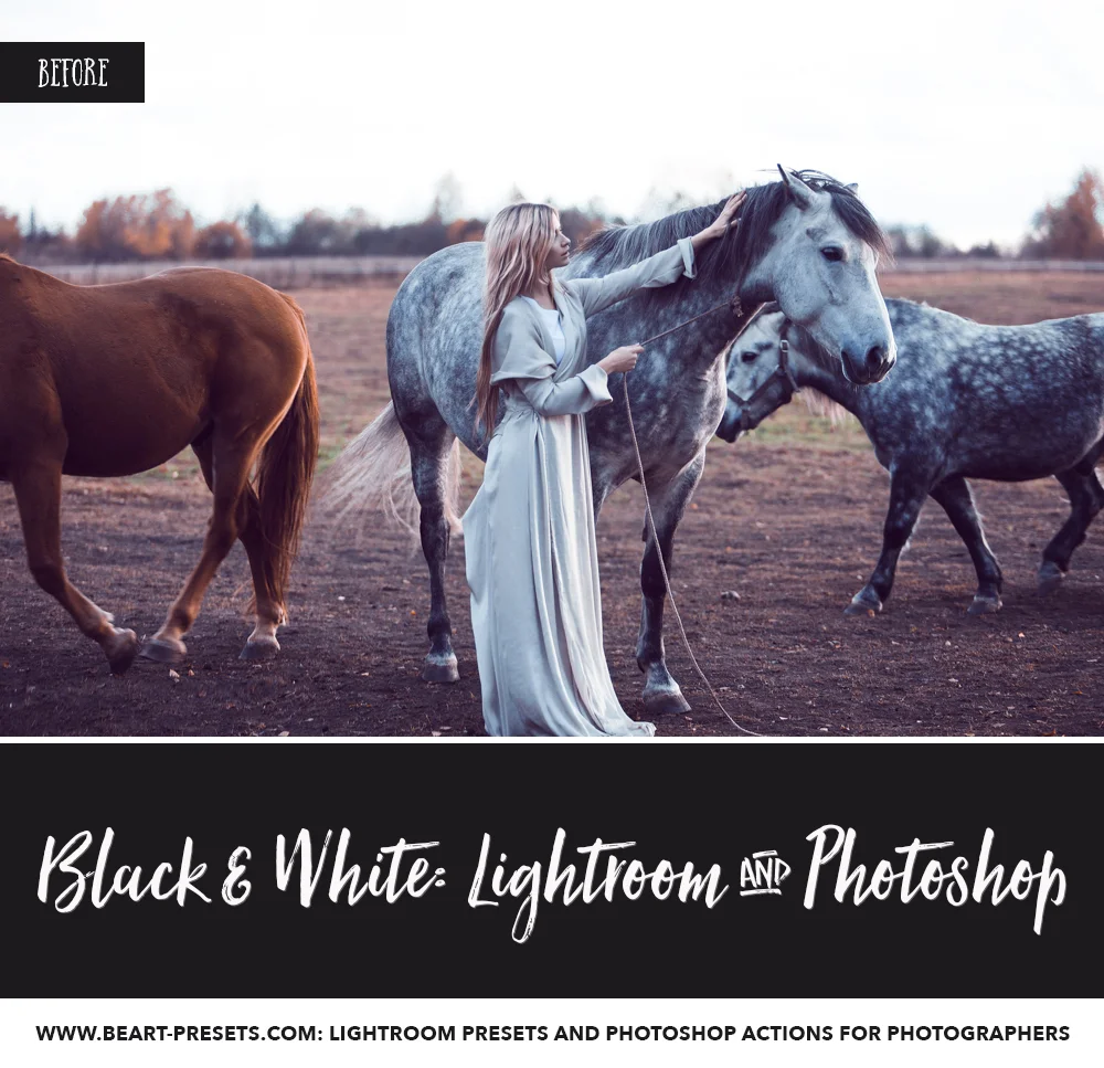 Black and white presets for Adobe Lightroom