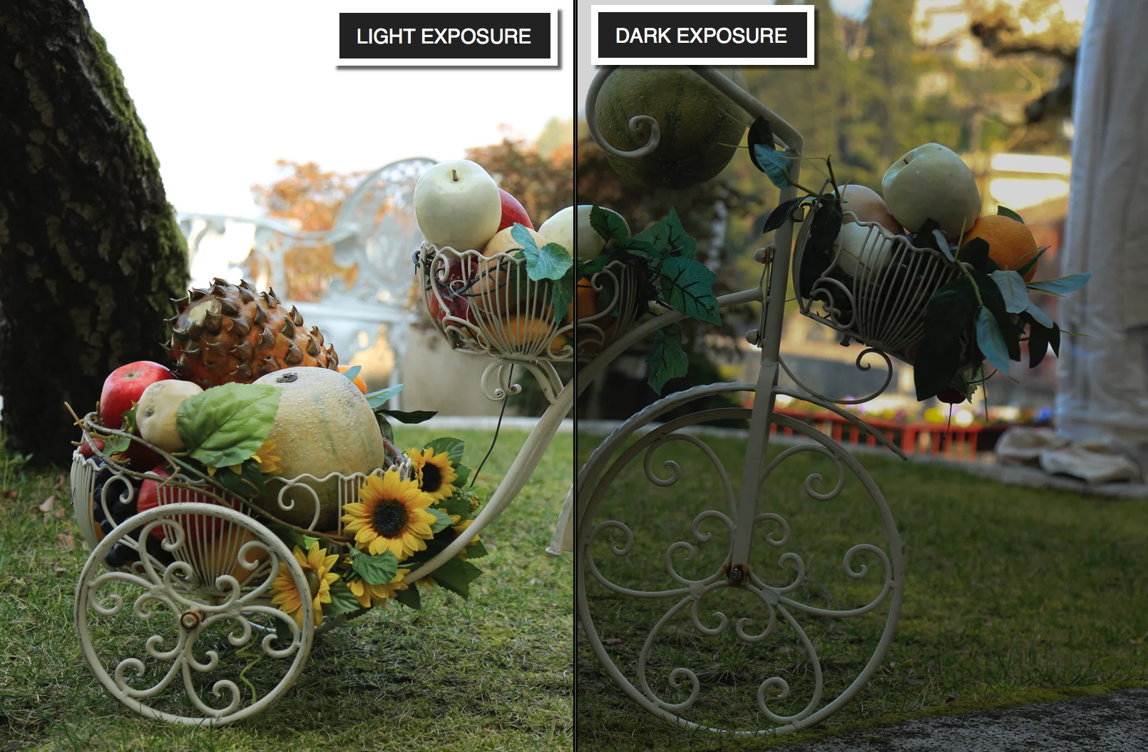 LIGHT AND DARK EXPOSURE.jpg