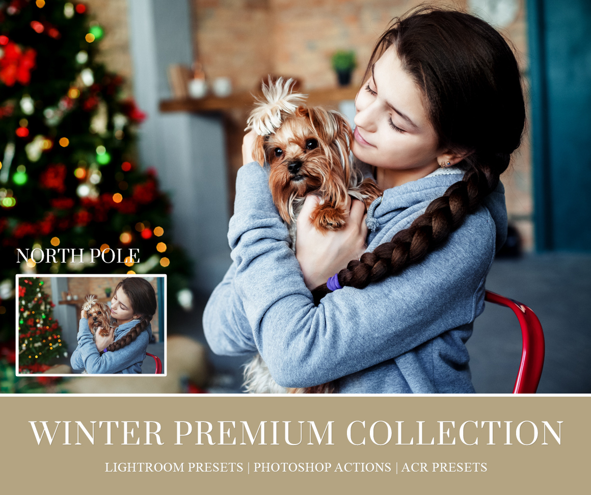 christmas-mini-sessions-photography-lightroom-presets.jpg