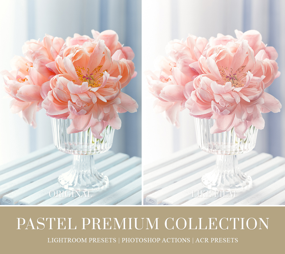 soft pastel color for floral photography