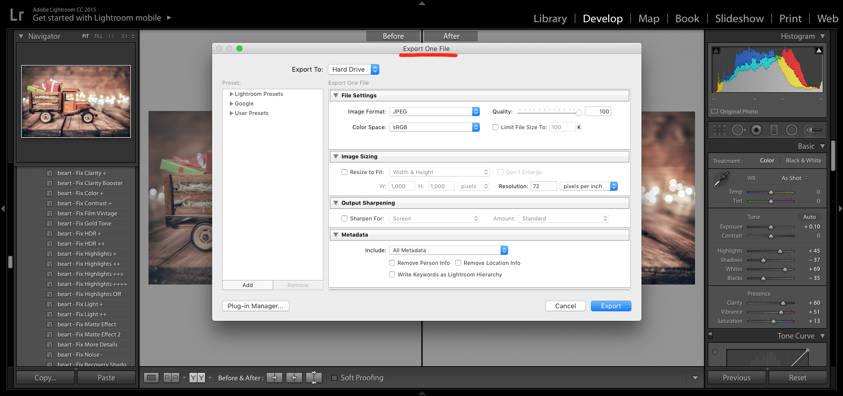Export One File Lightroom.png