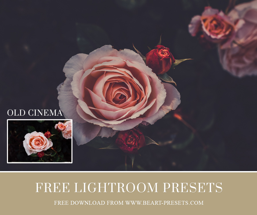 best free lightroom presets