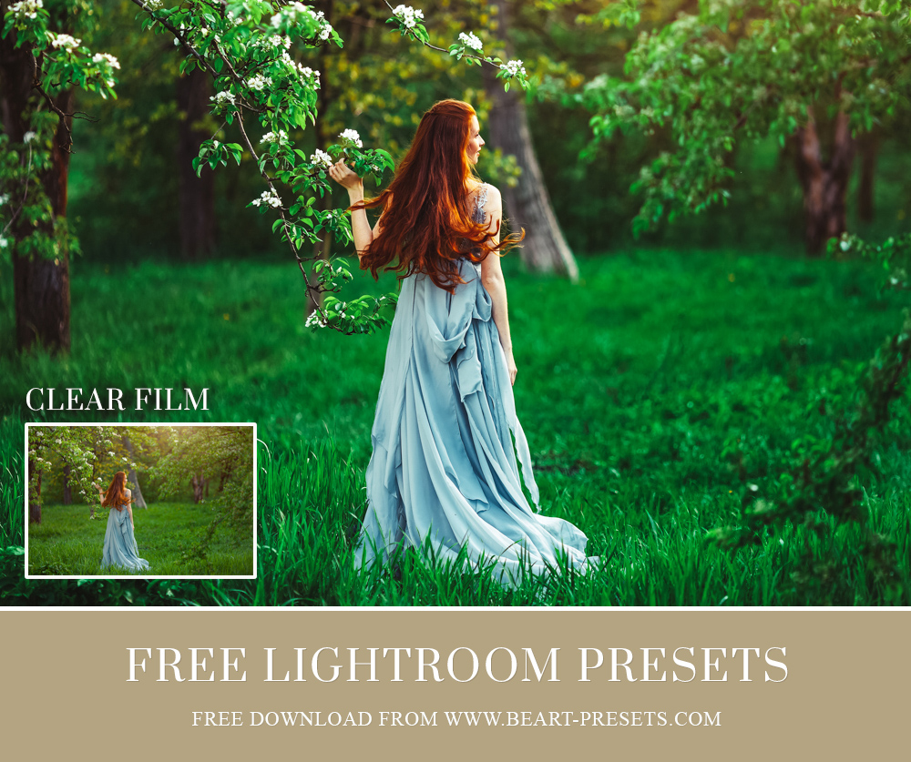 free presets download