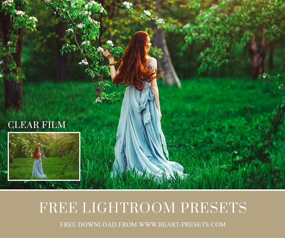 adobe lightroom preset free download