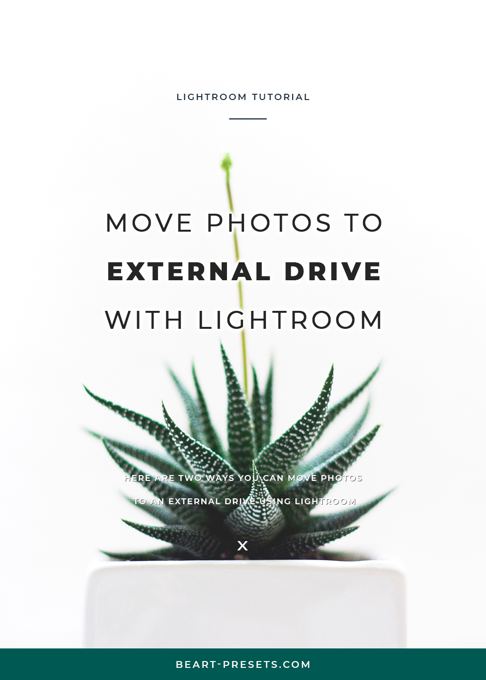 Move photos to external drive w/ Lightroom