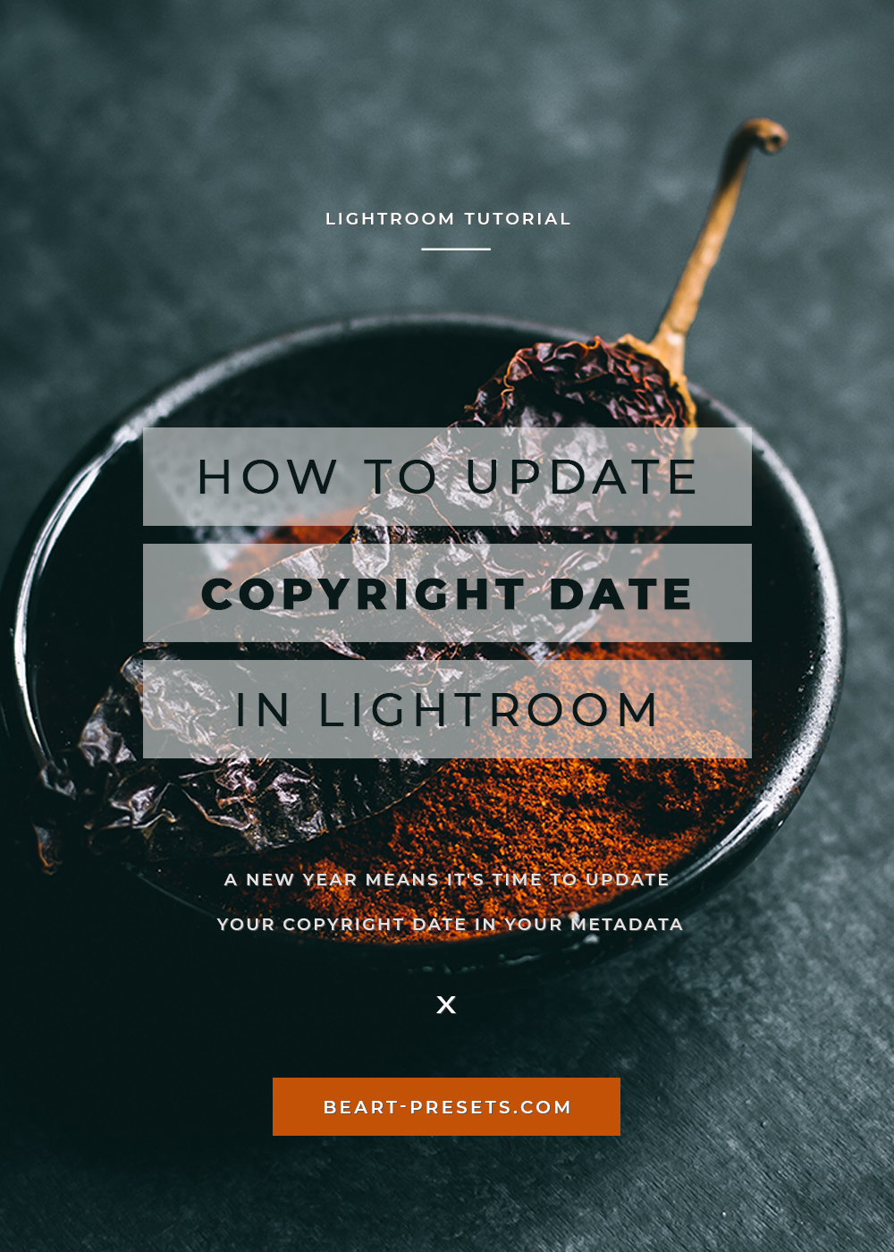 New Year Means Updating Copyright Date in Lightroom!