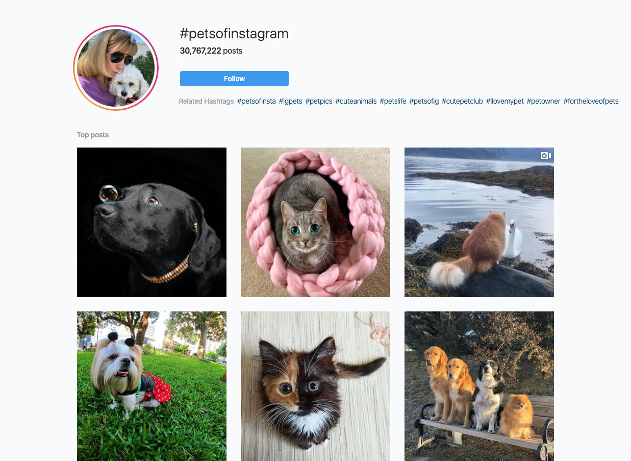 The best Instagram hashtags for photographers