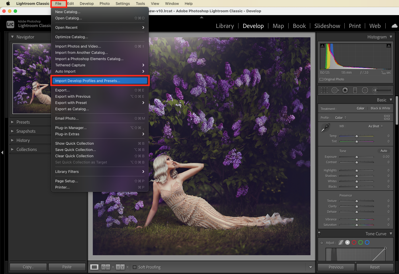 How To Install Lightroom Presets Lightroom Classic