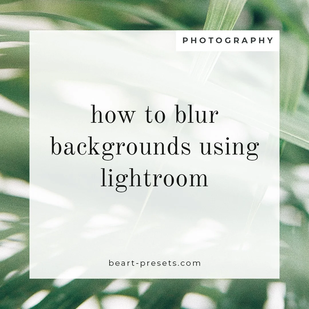 Lightroom, and Photography Blog