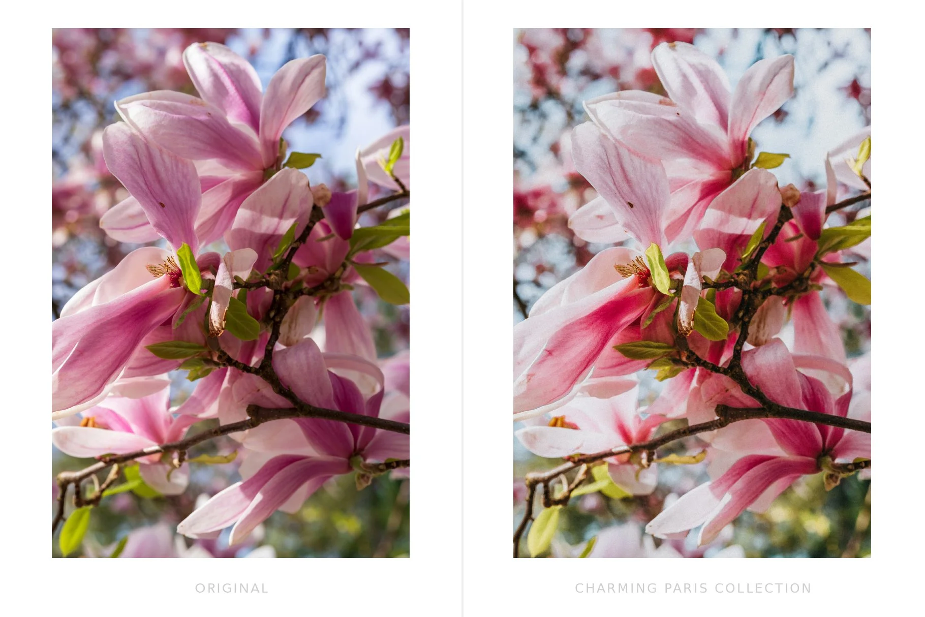 Mobile-Lightroom-Presets.jpg