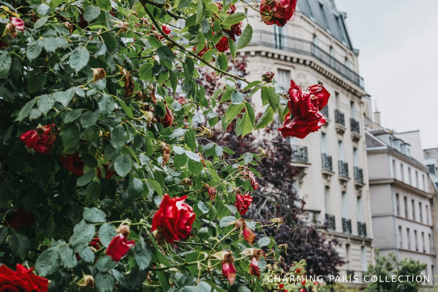 Paris-Photography-Presets.jpg