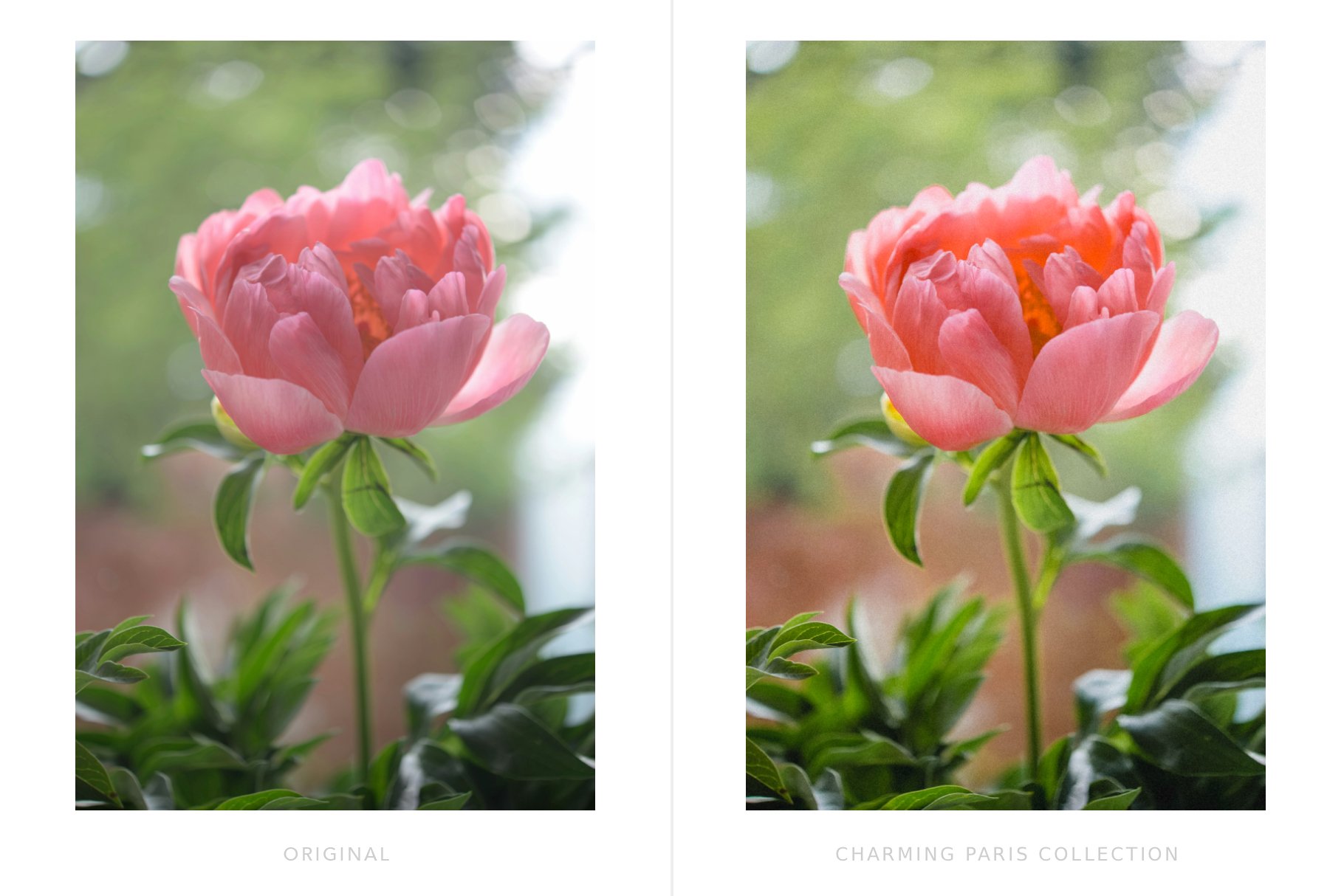 Paris-lightroom-presets-preview (5).jpg