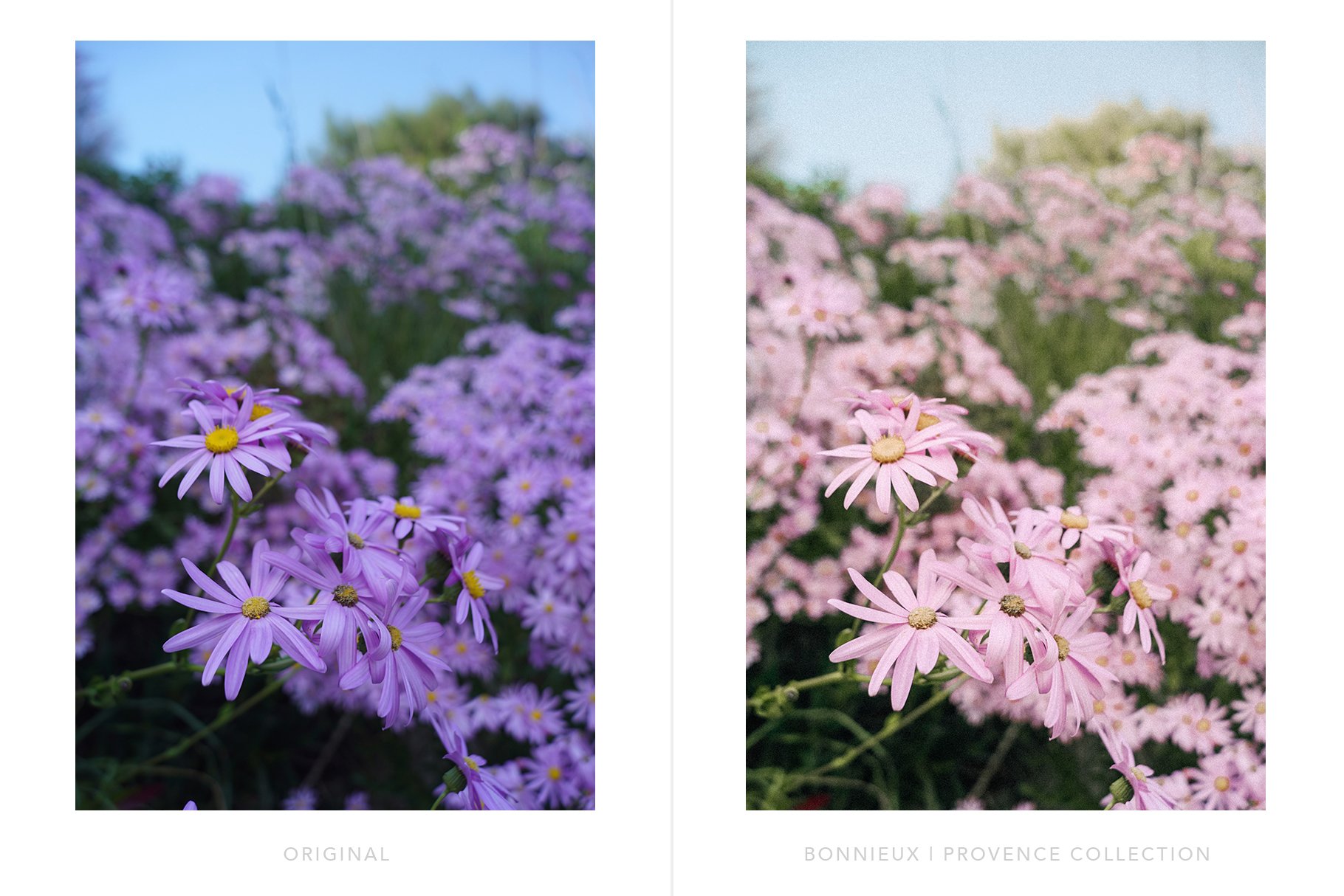 Provence-lightroom-presets-preview-8.jpg