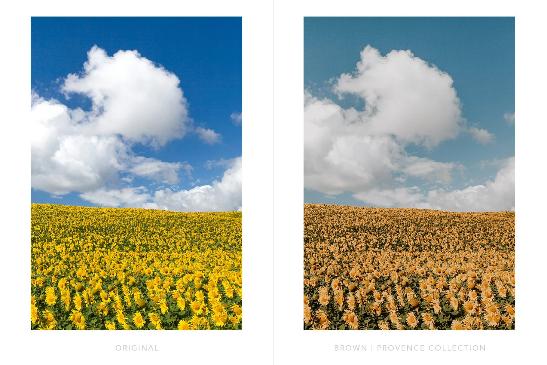 Provence-lightroom-presets-preview-7.jpg