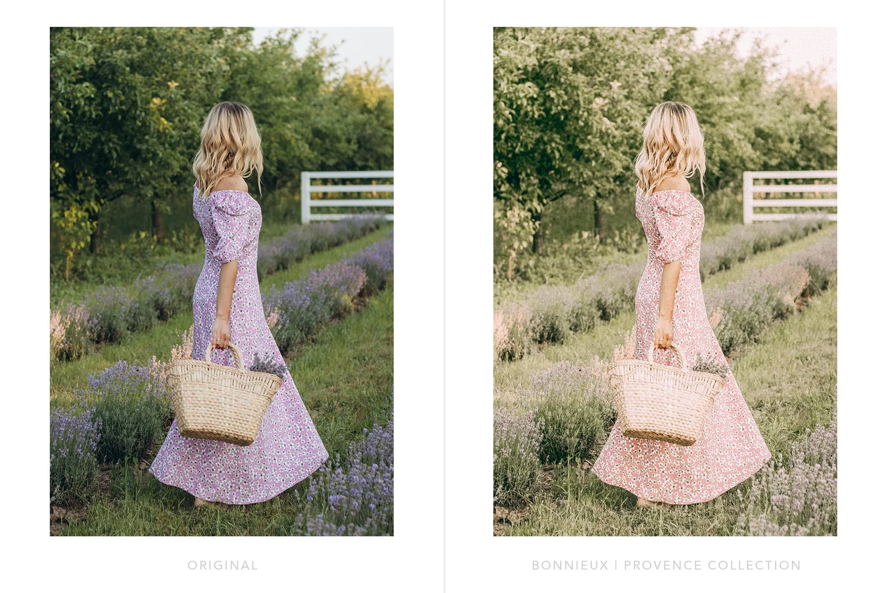 Provence-lightroom-presets-preview-6.jpg