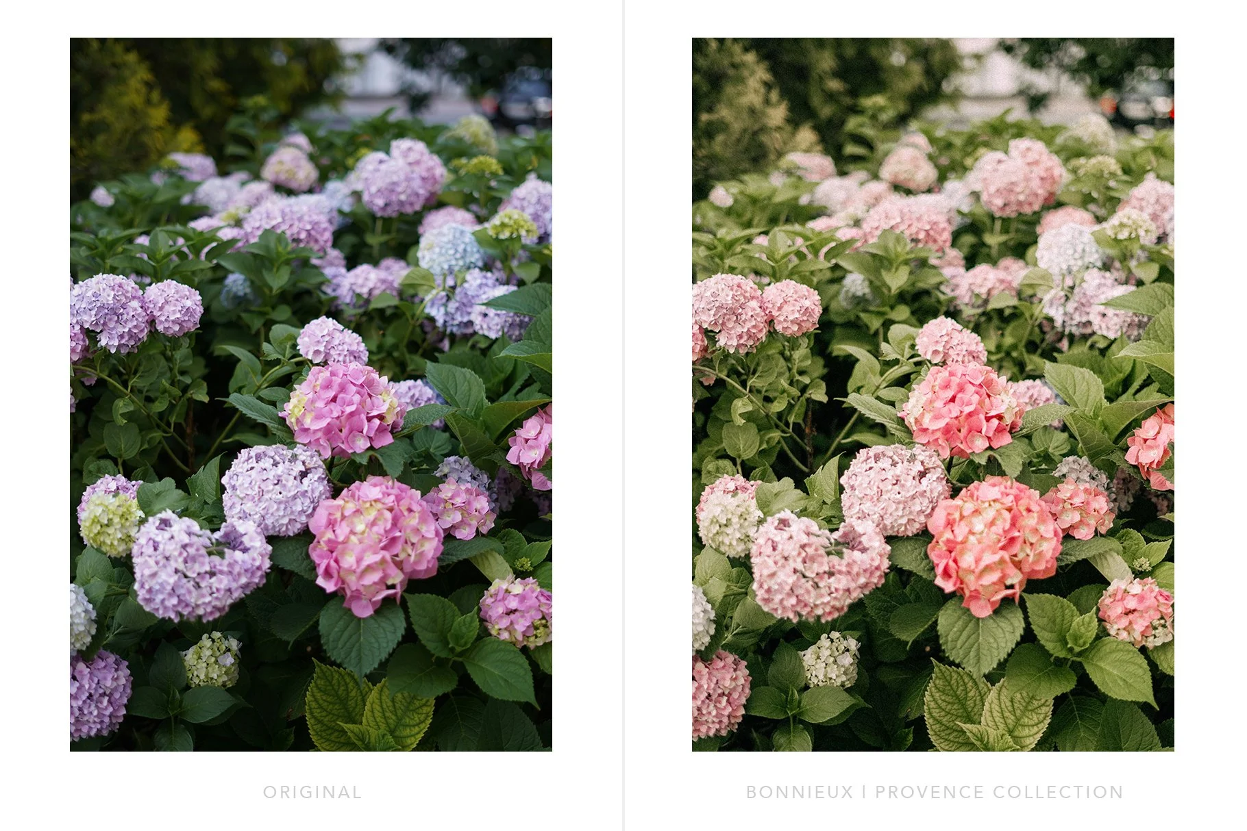 Provence-lightroom-presets-preview-5.jpg