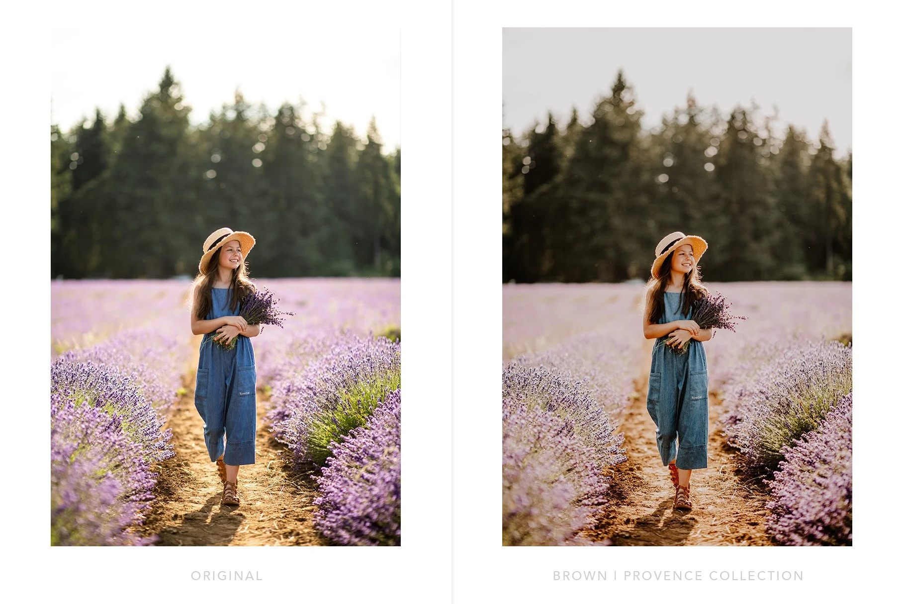 Provence-lightroom-presets-preview-1.jpg