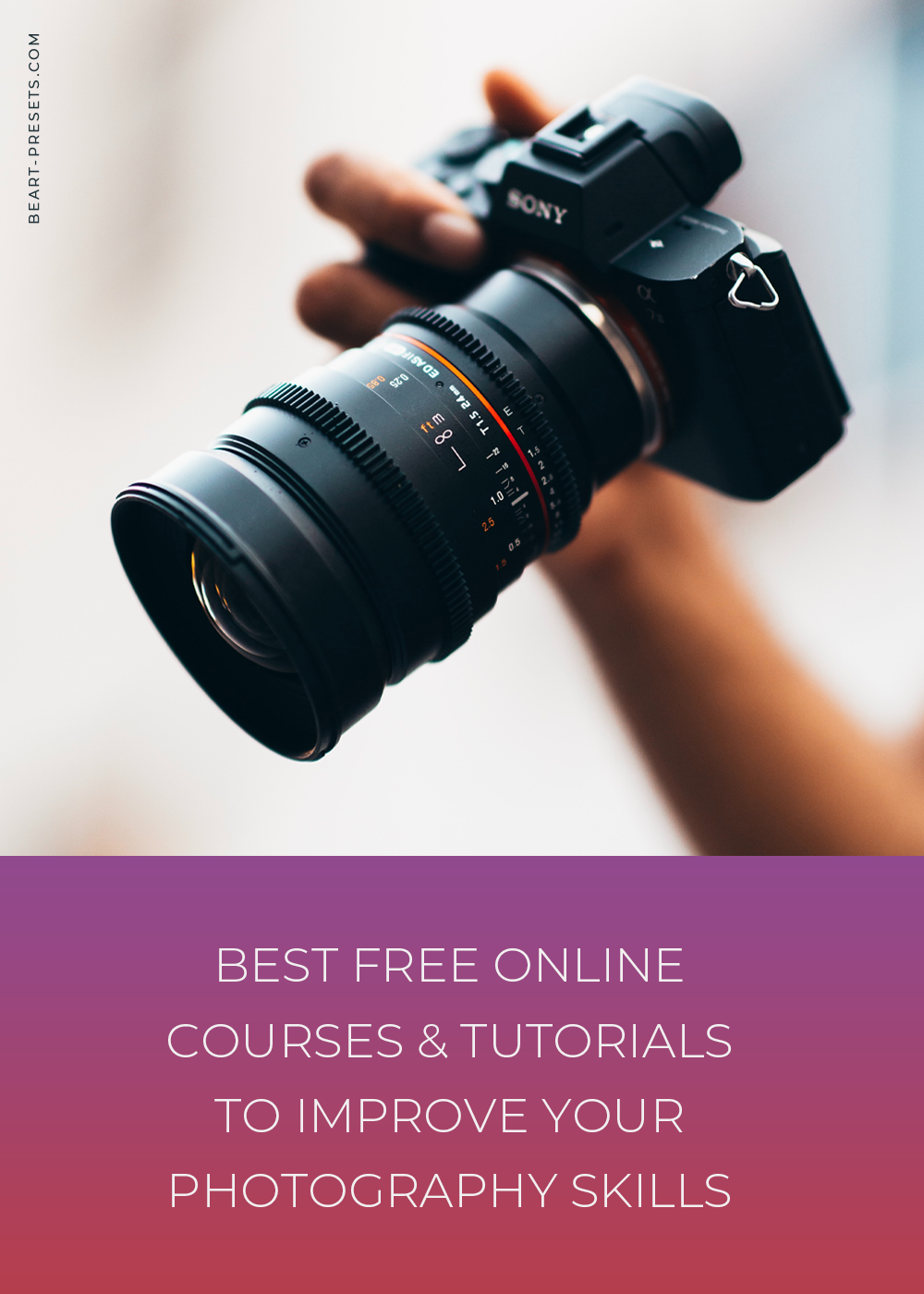 The best free online courses for learning something new