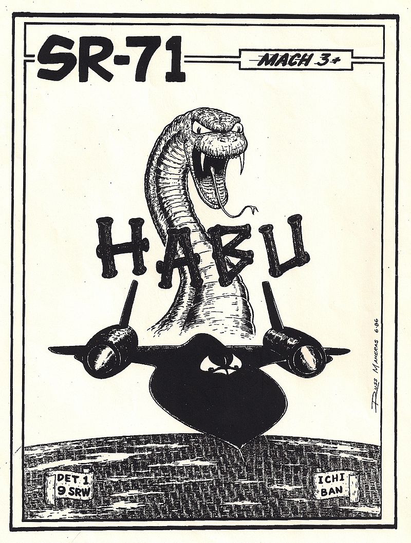 While the official name of the SR-71 was the Blackbird, many pilots and crew members referred to the aircraft as the Habu, a venomous snake in Japan.