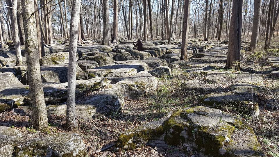 An area known as the Slaughter Pen- Union troops held out here among the limestone outcroppings as long as they could, until Sheridan's troops ran out of ammunition and forced the troops here to retreat along with them. 