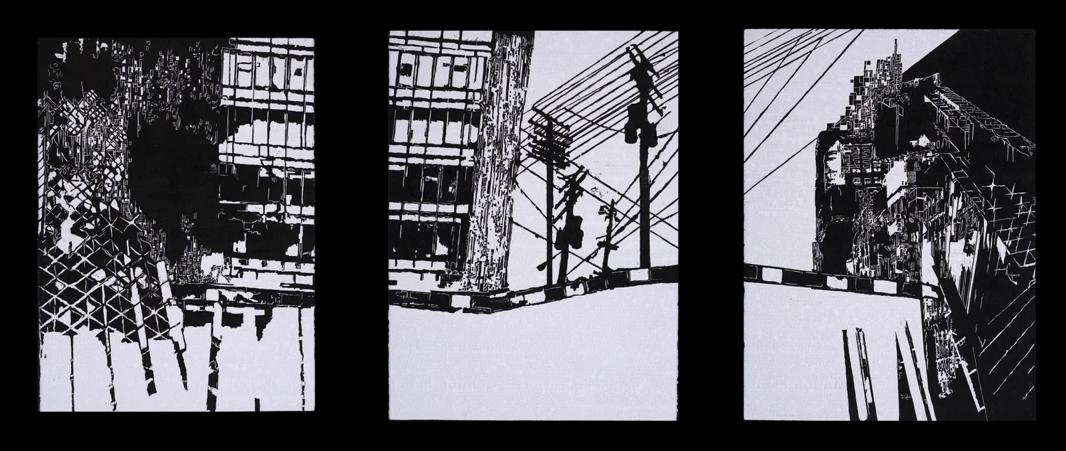 Building Codes, 30" x 66", Relief and screen print on Rives, 2012