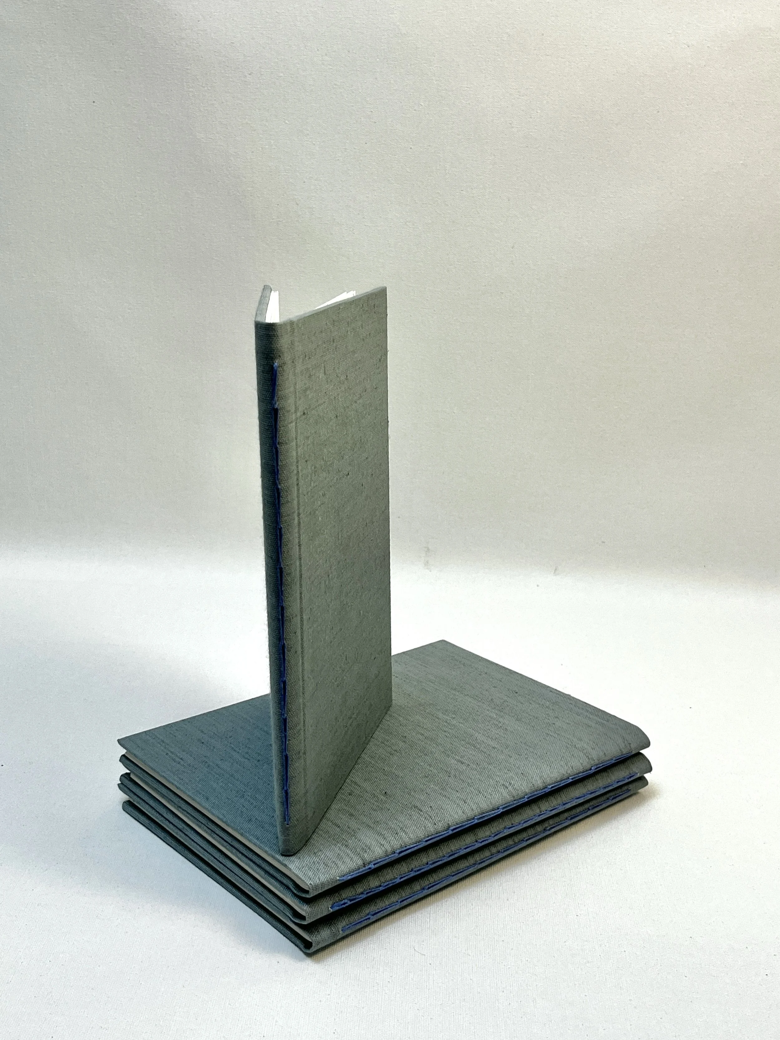Handmade Seedbook Sketchbook/Journal