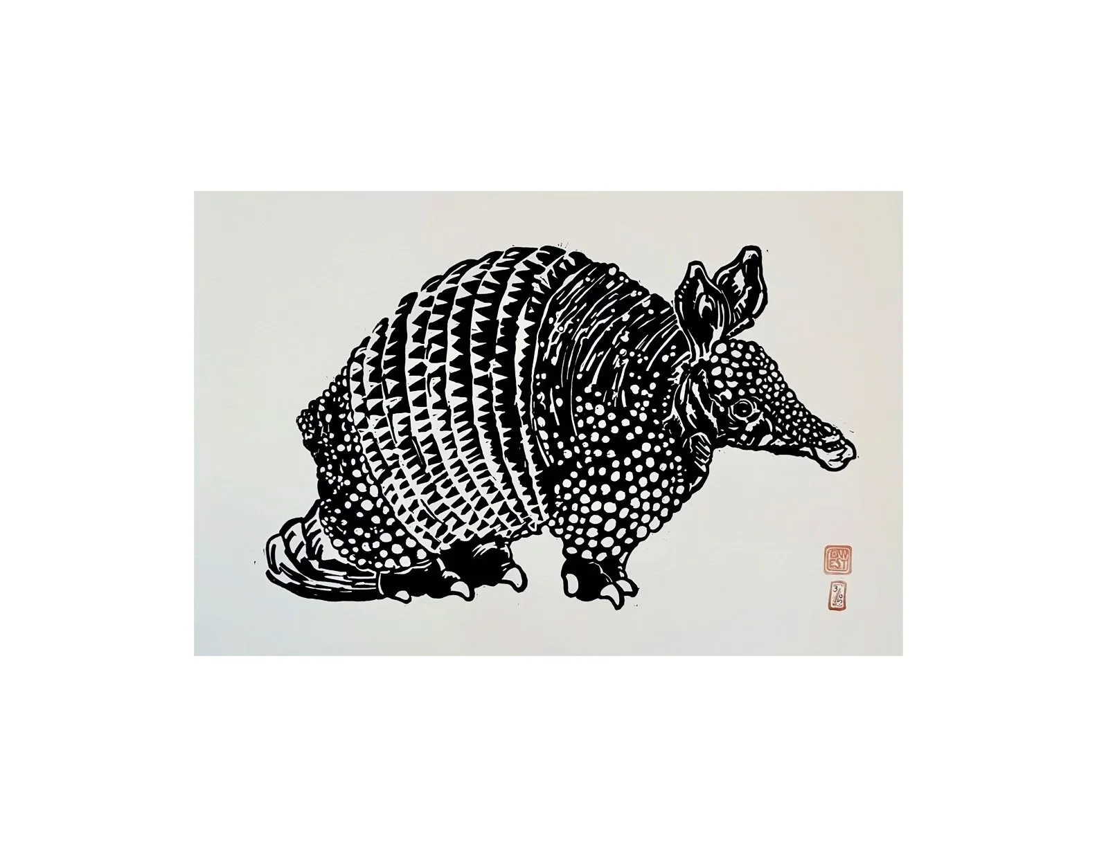 Armadillo+%282%29.1.jpg