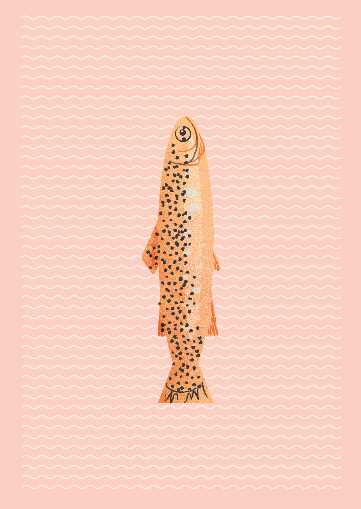 Emily - 6/13 - Fish Pillow