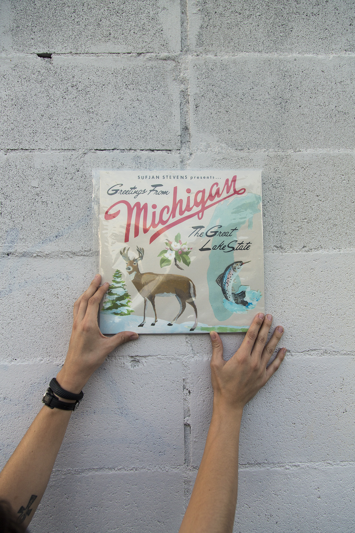 Corey - 9/7 - Greetings From Michigan, The Great Lake State, by Sufjan Stevens