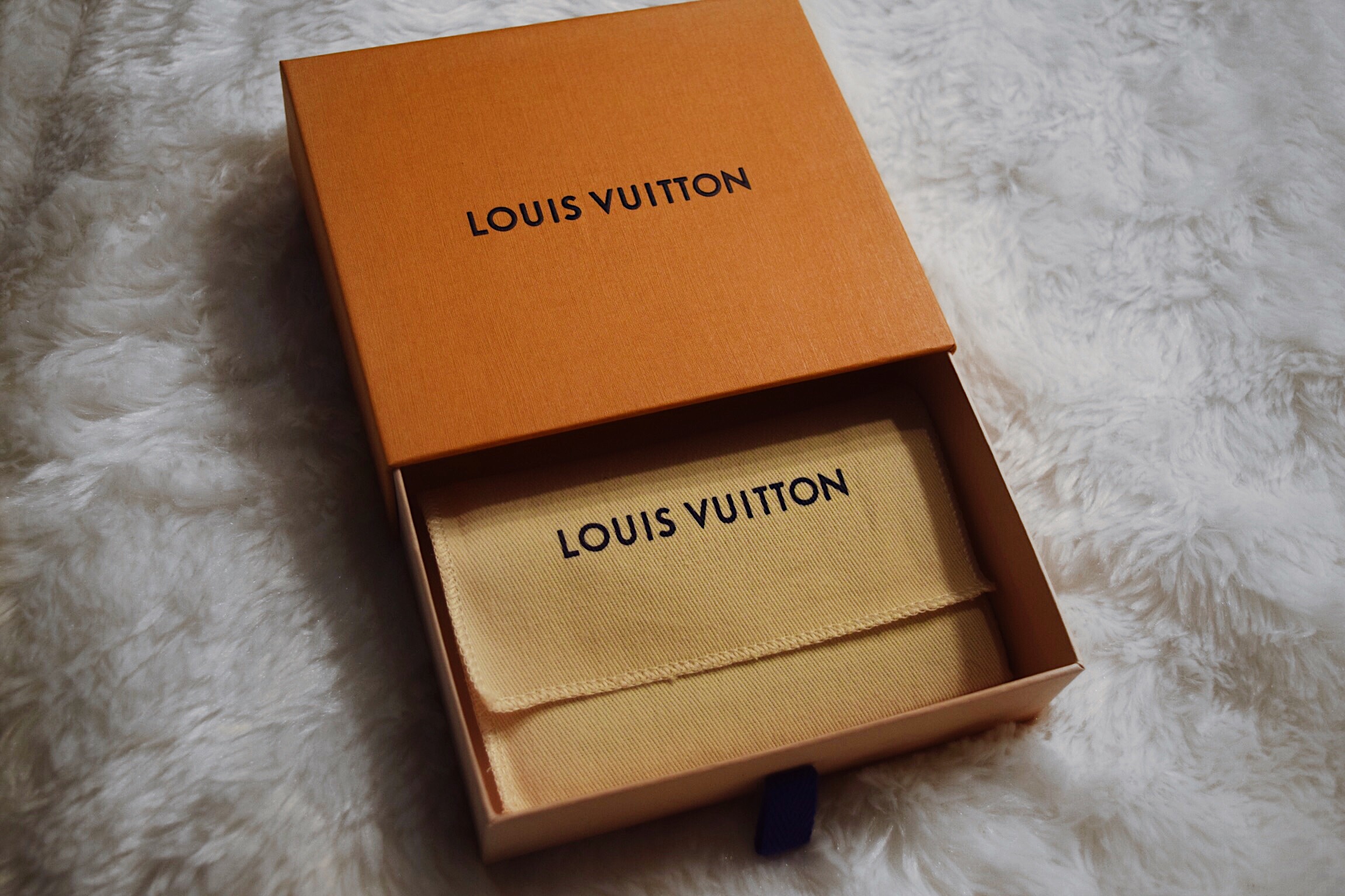Louis Vuitton Haul — EMILY HU
