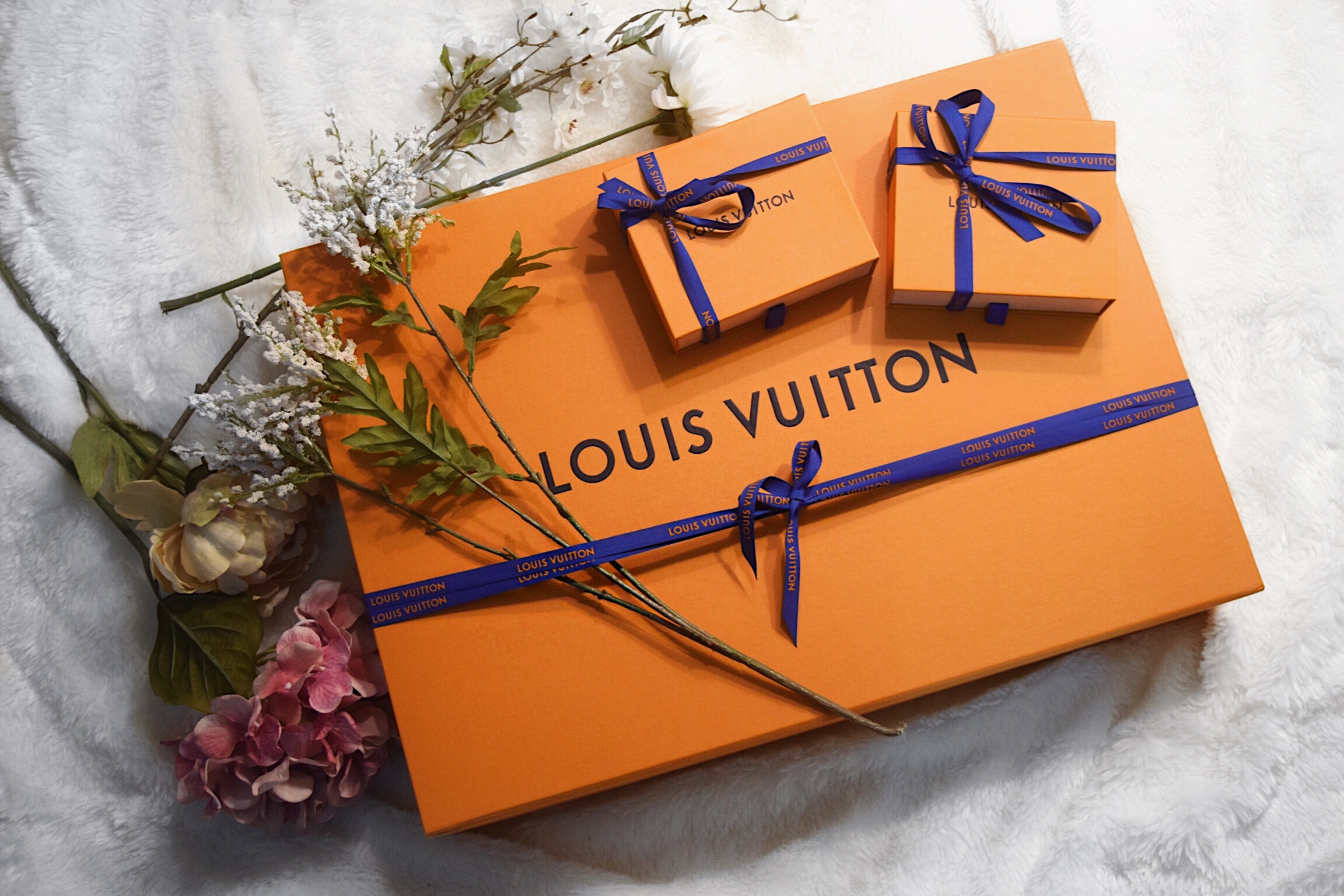 Louis Vuitton Haul — EMILY HU