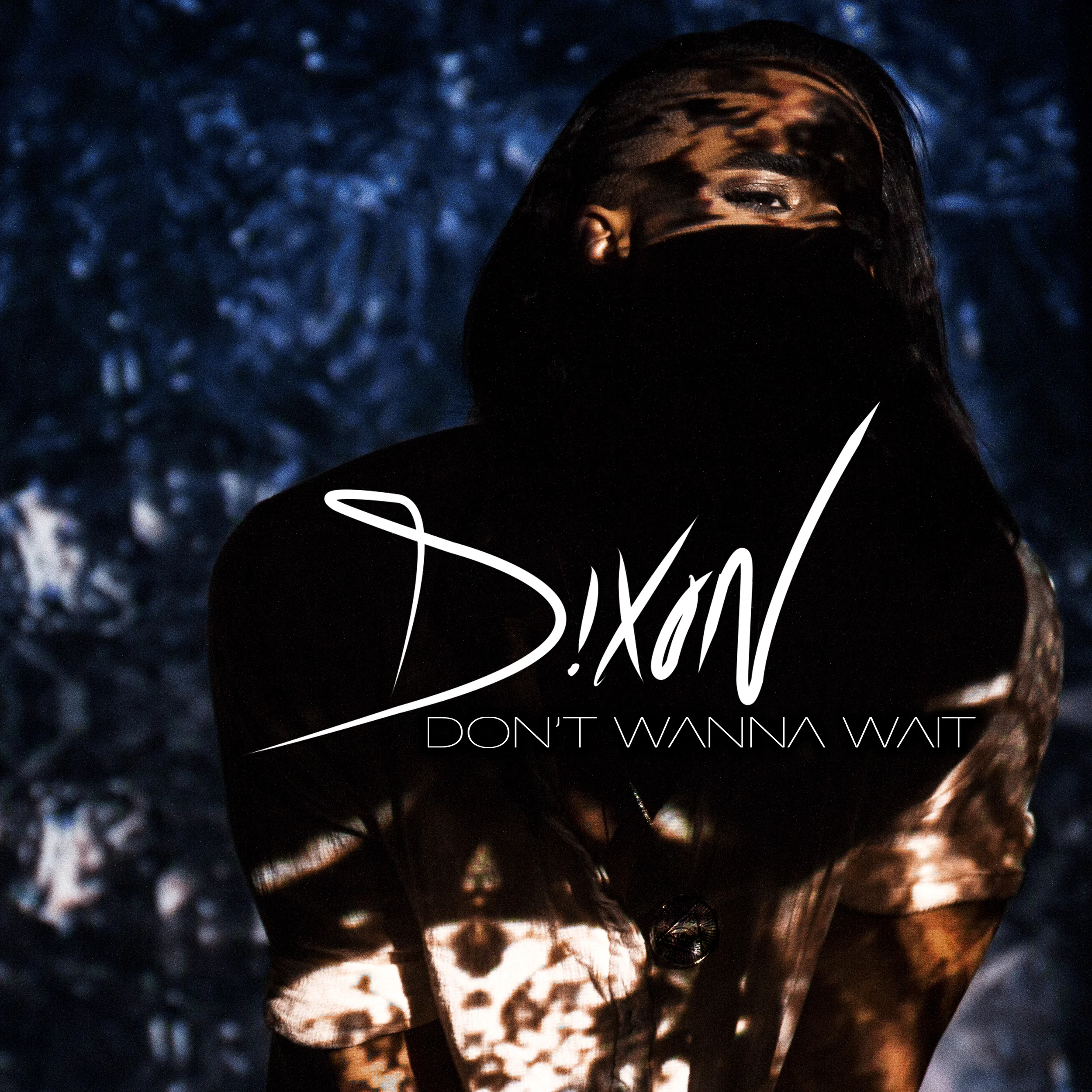 Don't Wanna Wait - Single