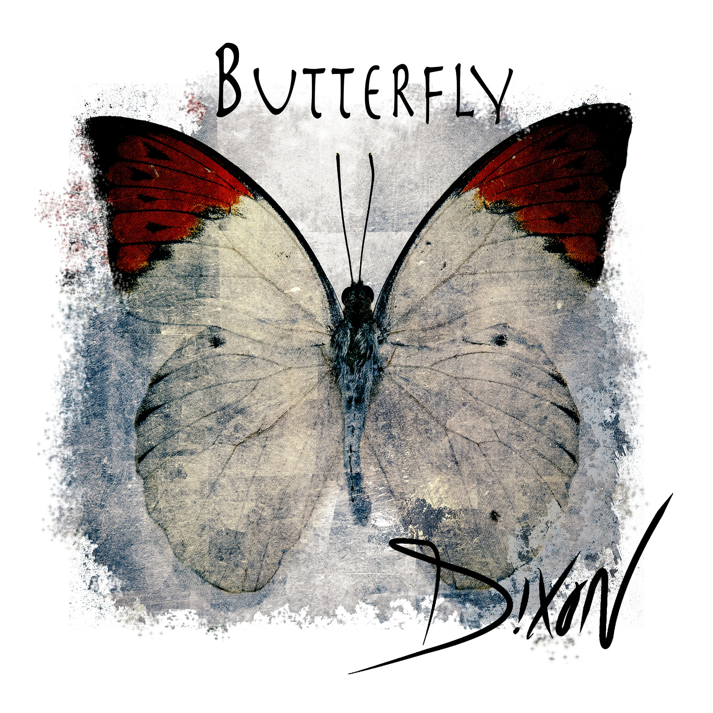 Butterfly (Cover Art Master).jpg
