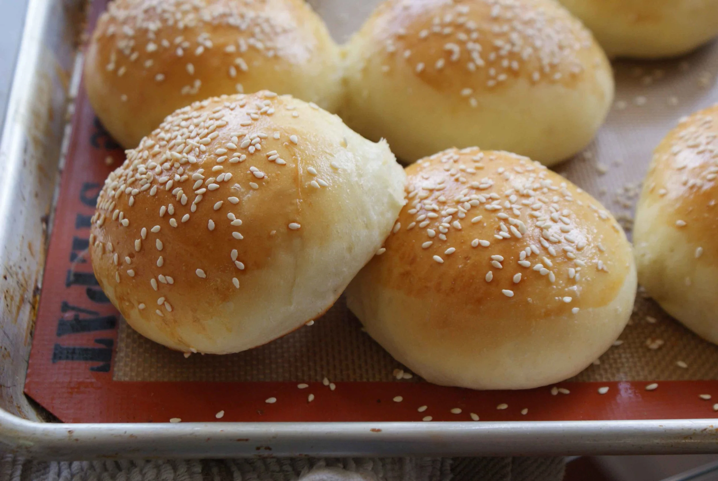 Brioche-buns-on-silpat.jpg
