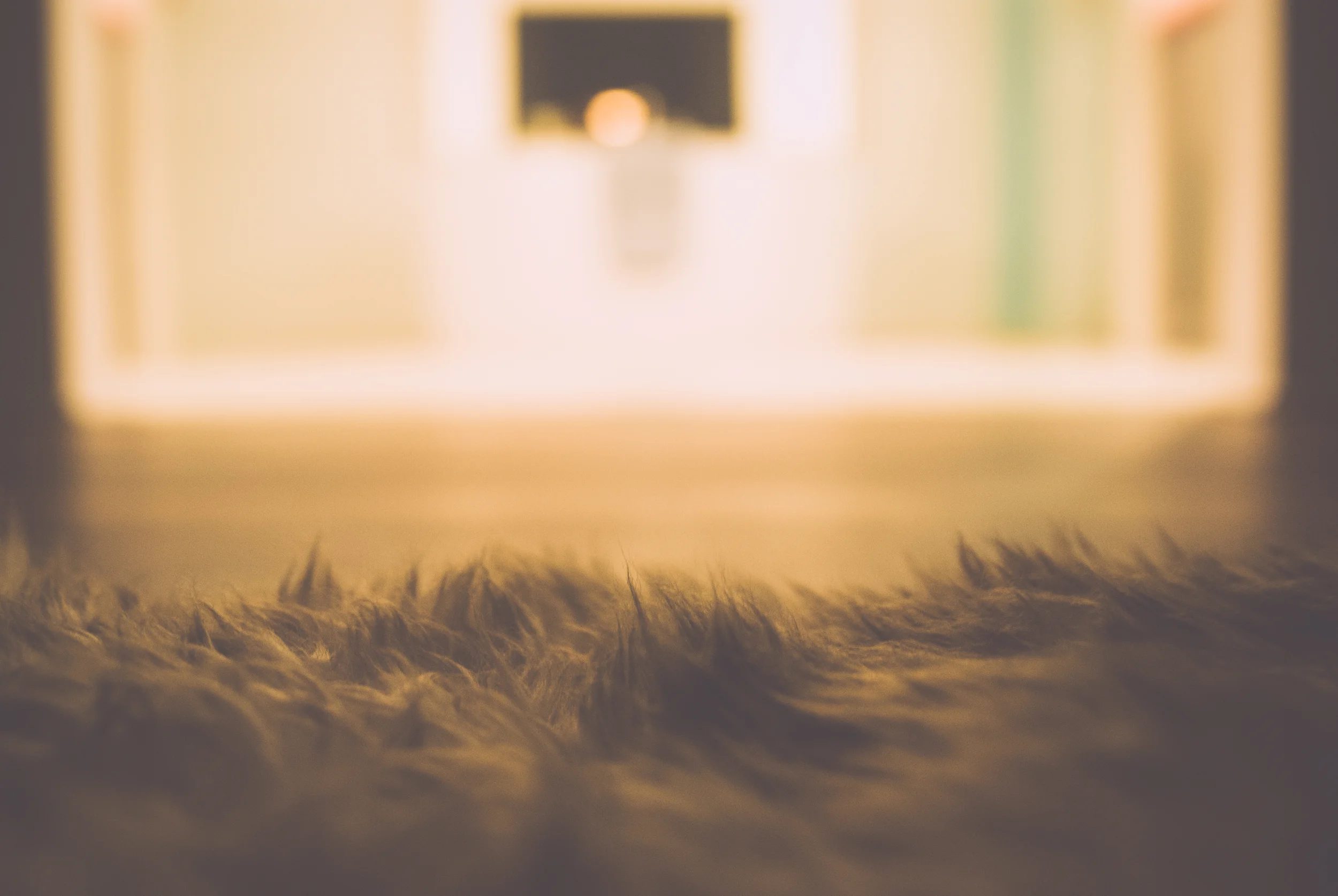 sheepskin.jpg