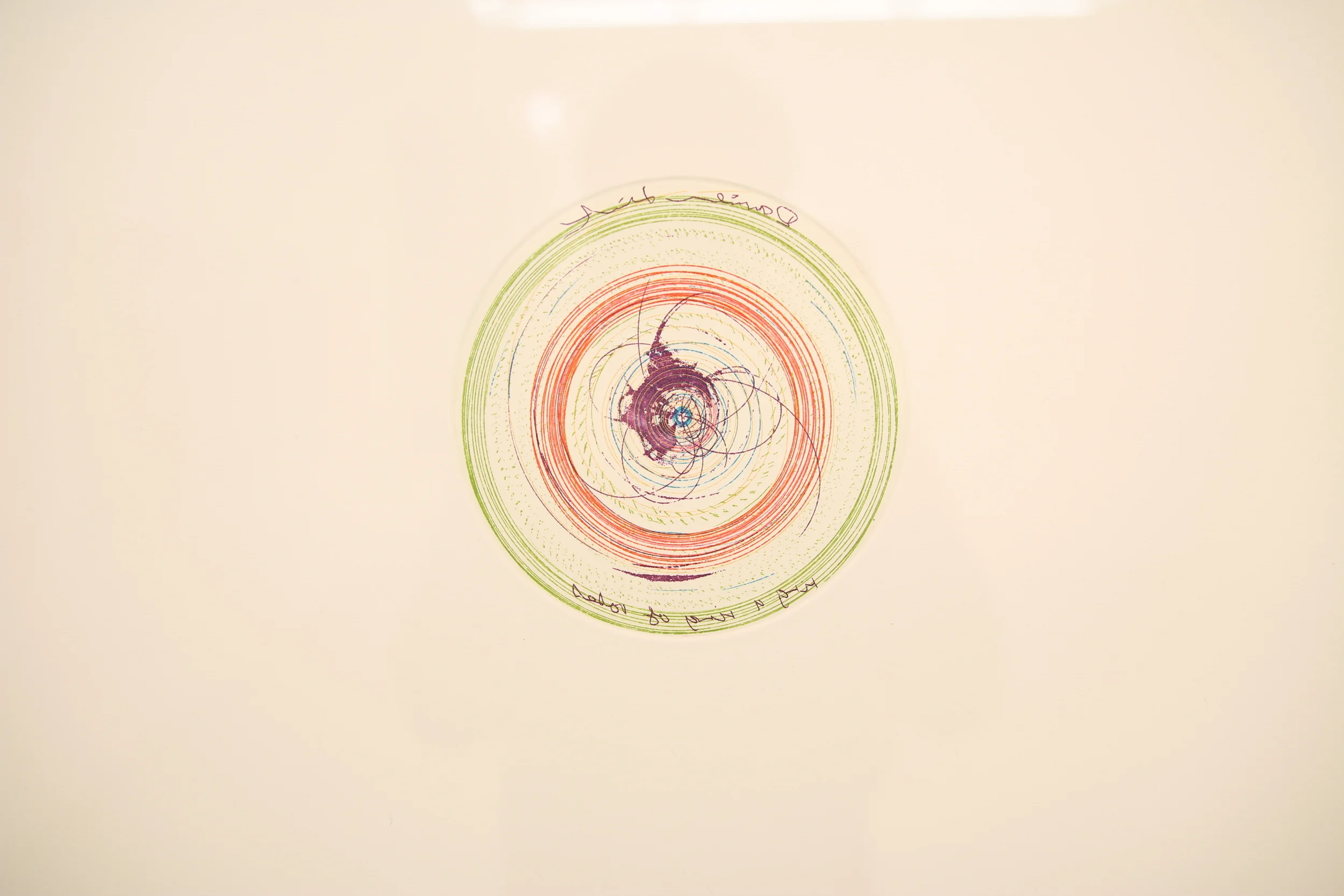 Damien Hirst Exibition