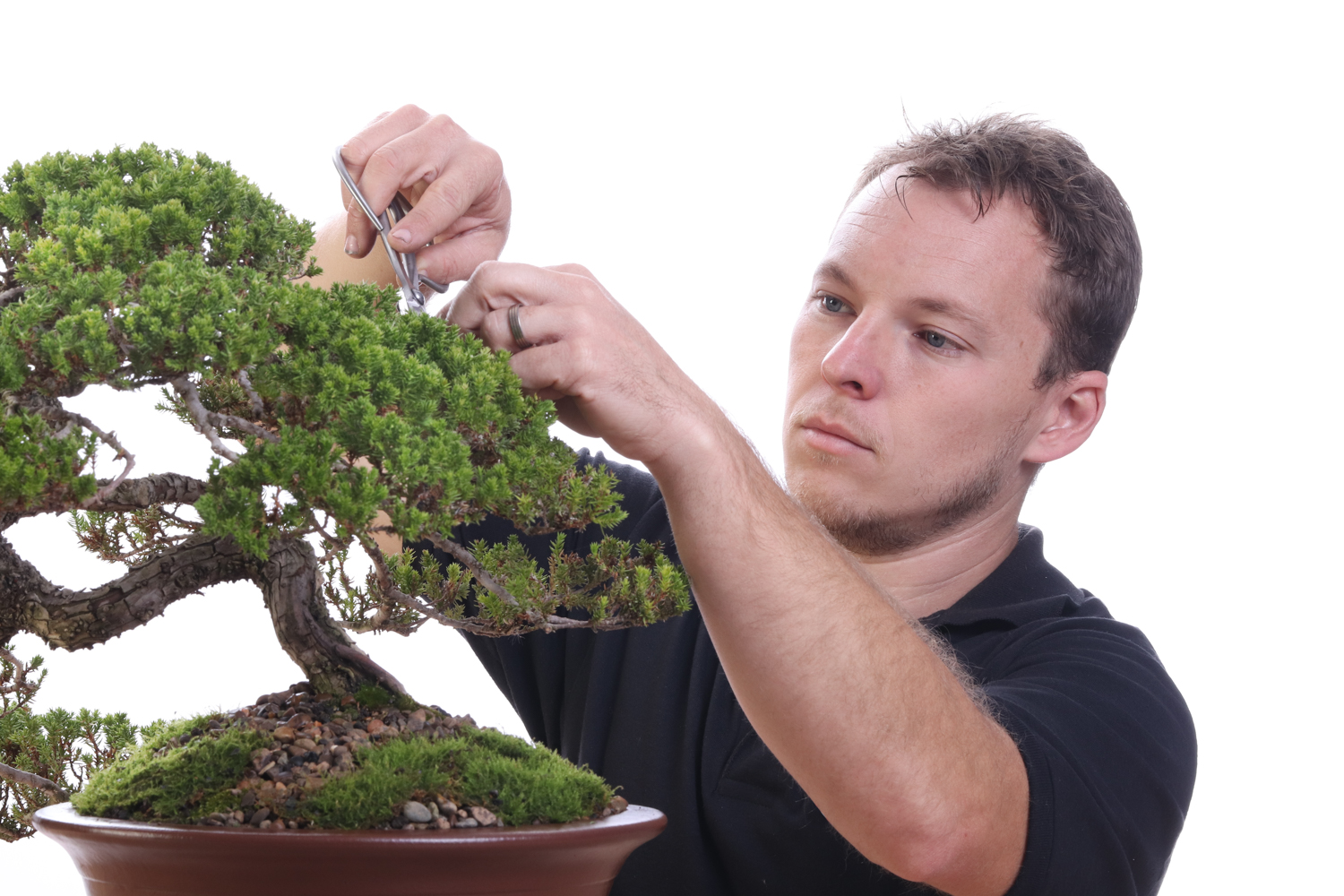 Bonsai