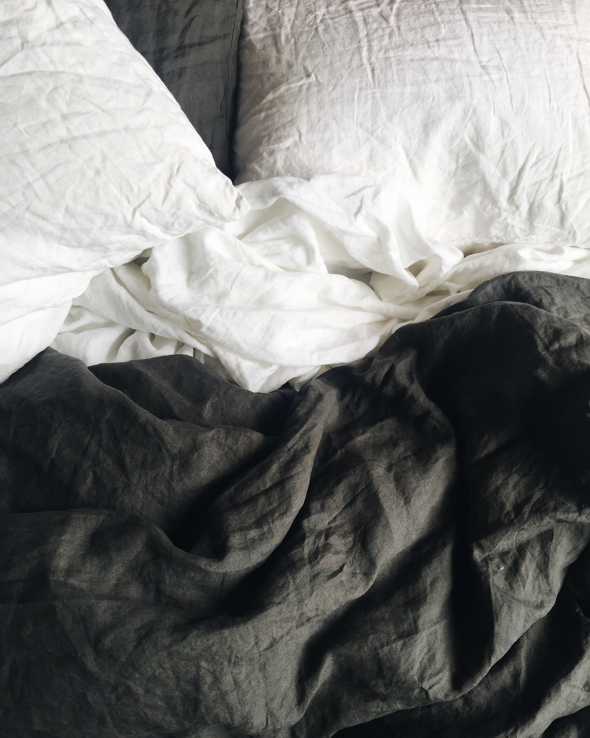 MORNINGS WITH SCOTTIE STORE