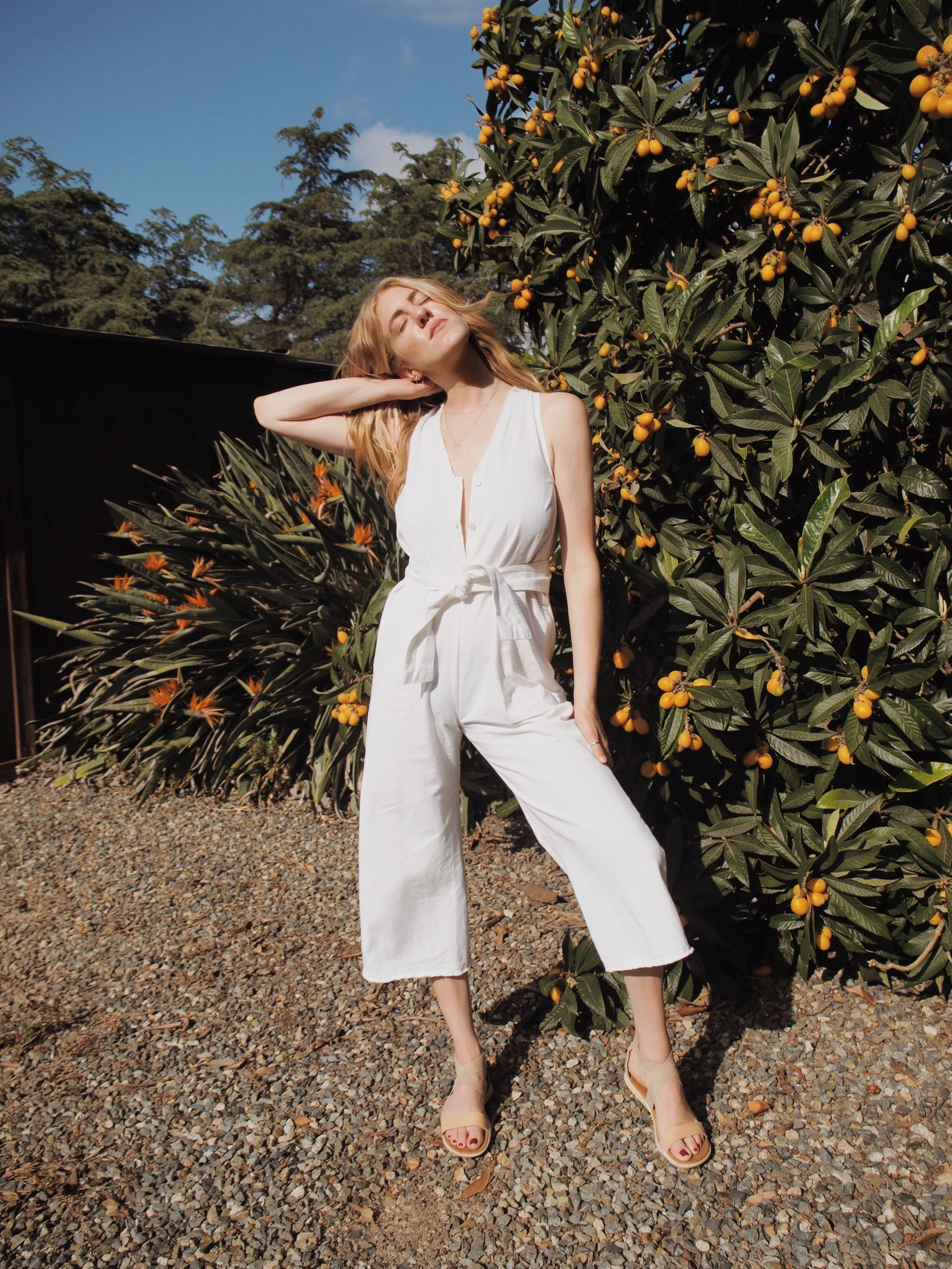 Citrus Picking with Hackwith Design