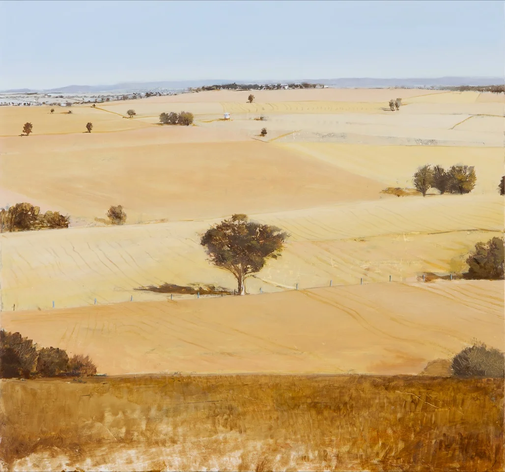 _I Goodacre plains.jpg