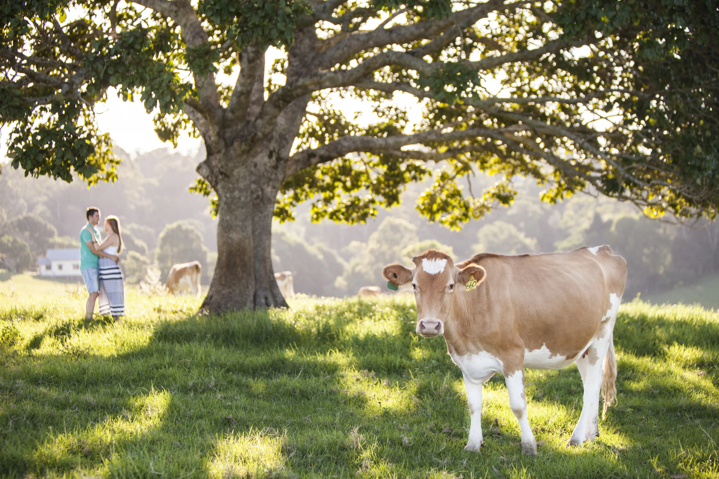 Dan & Maddy . . . and Maisie