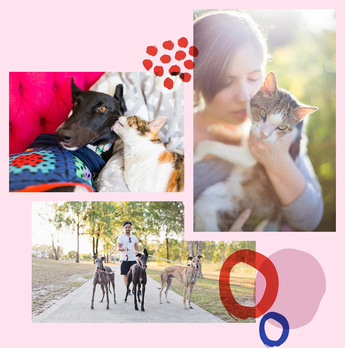 Non cheesy wedding photographers