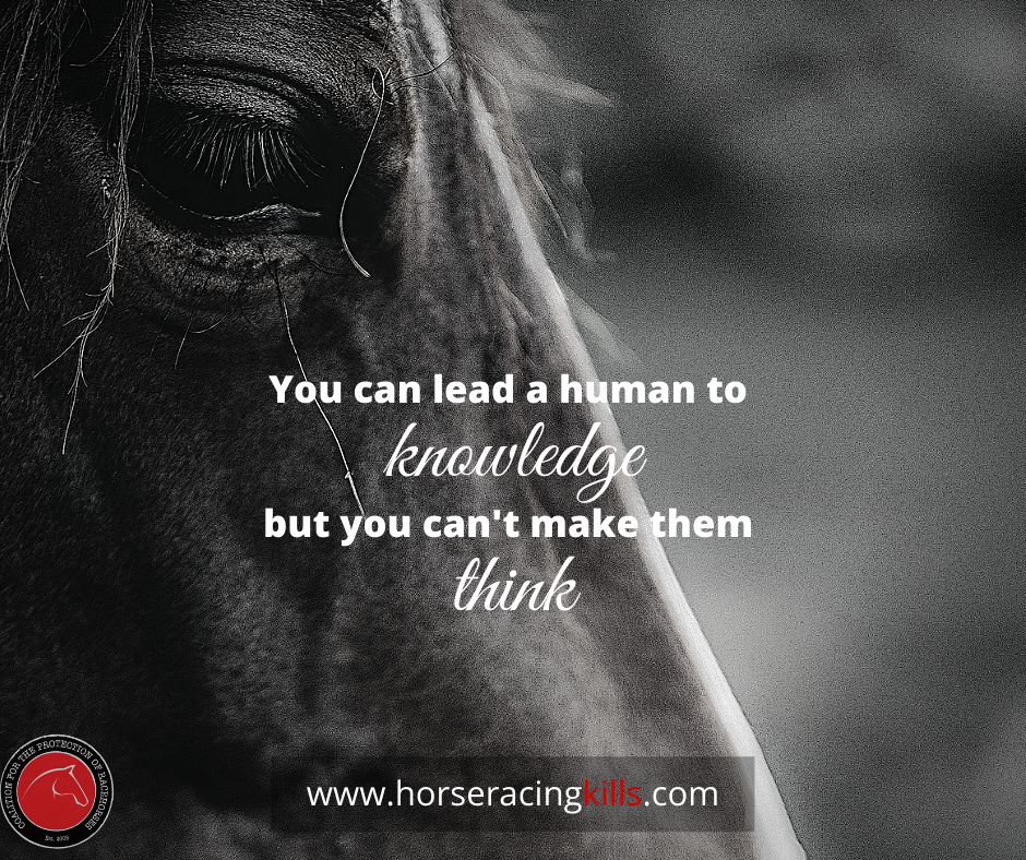 Copy of Copy of Copy of Copy of Copy of Is it really worth the risk .png