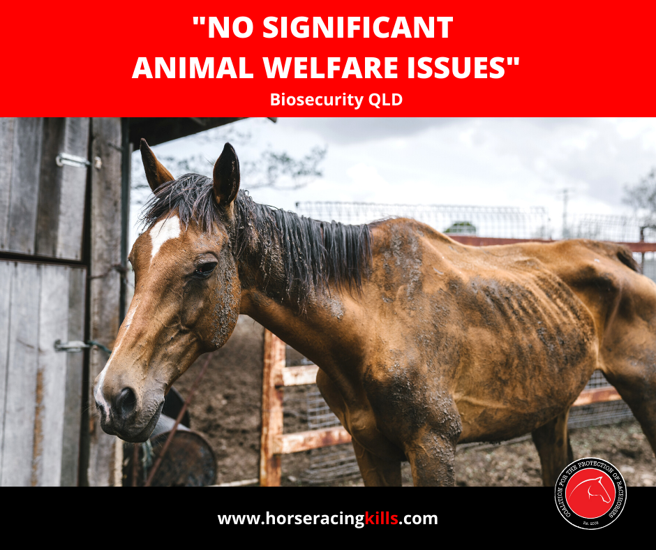 no welfare issues.png