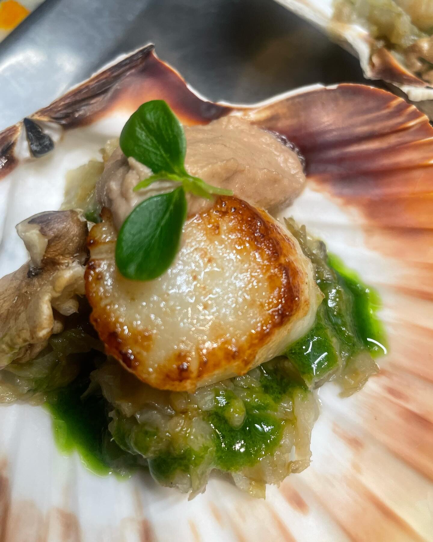 Nouvelle entr&eacute;e : coquilles saint Jacques au cidre et noix franquette, fondue d&rsquo;endive #automne2023 #saison #pourleplaisir #normandie #chaleur #terreetmer #noixcorreze