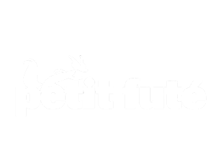 Logo de Petit Futé avec une illustration d'un oiseau et d'une fourmi au-dessus du texte