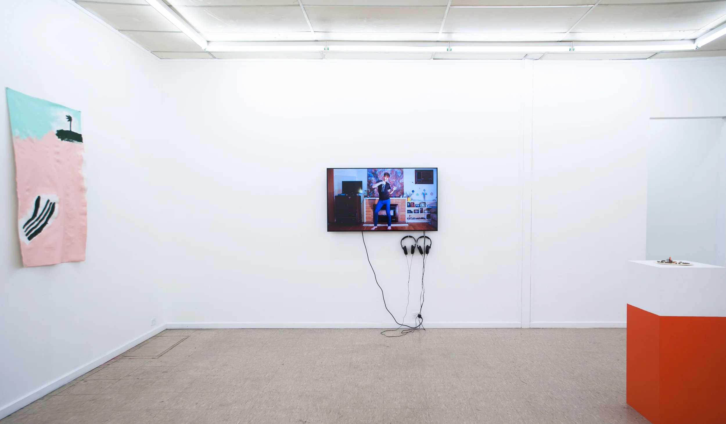 Leisure , 2015, installation view feat. Aida Azin, Luke Wilcox, Meg Wilson (L-R), Fontanelle, photography by Lara Merrington.